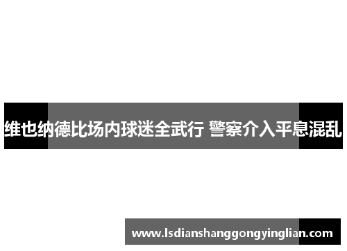 维也纳德比场内球迷全武行 警察介入平息混乱